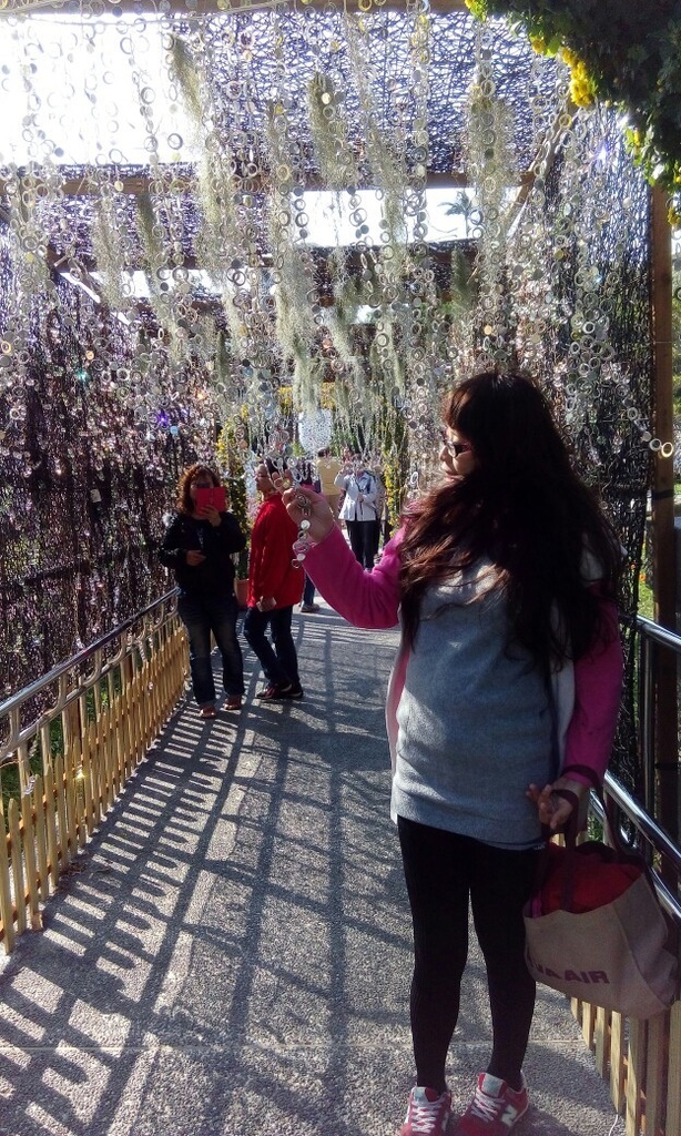 士林~~~~ 菊花展_9117.jpg