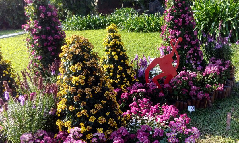 士林~~~~ 菊花展_9214.jpg