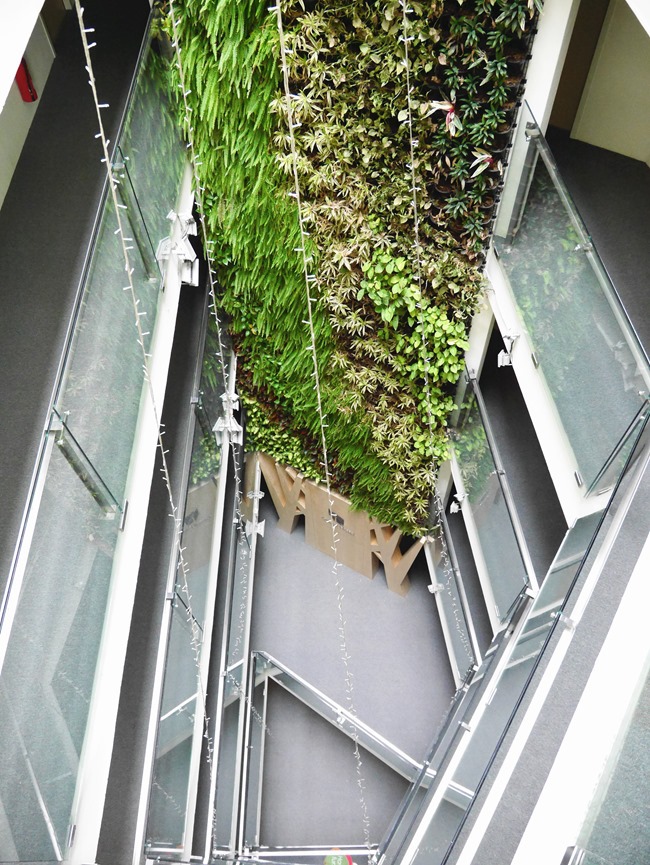 │宿。台中│綠生活的美好「葉綠宿Green Hotel」距逢甲夜市5分鐘腳程