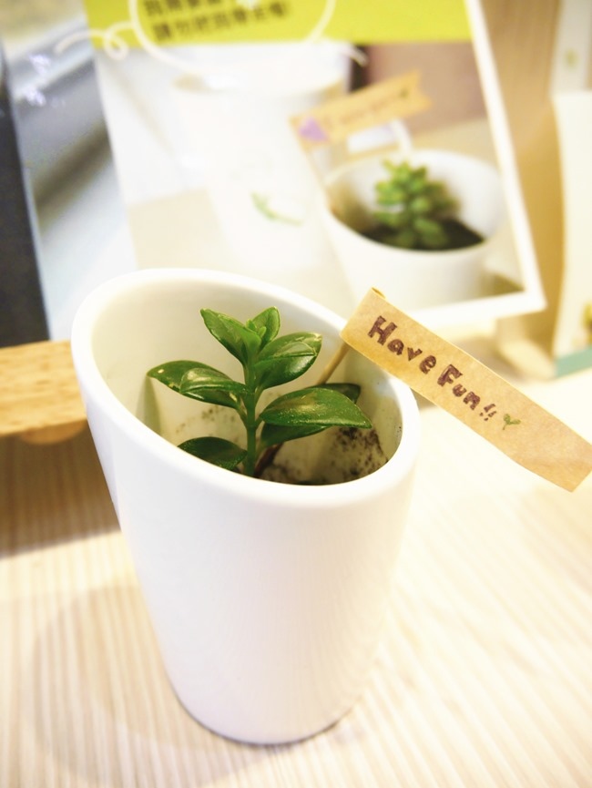 │宿。台中│綠生活的美好「葉綠宿Green Hotel」距逢甲夜市5分鐘腳程