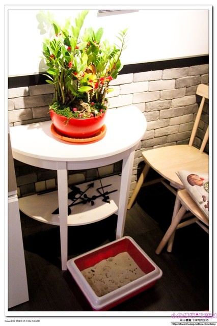 Cat Bru：【美食♥桃園】☼ Cat Bru 特色咖啡廳☼ 愛貓的人不能錯過的店♥♥