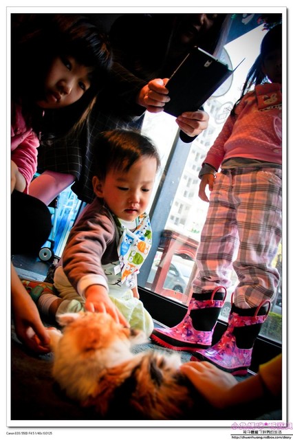 Cat Bru：【美食♥桃園】☼ Cat Bru 特色咖啡廳☼ 愛貓的人不能錯過的店♥♥
