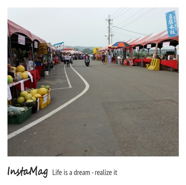 苗栗銅鑼 杭菊花季：【苗栗景點】2015苗栗銅鑼杭菊芋頭節