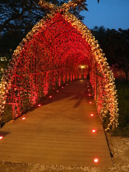 聚竹蚵地景藝術:【高雄旅遊】讓愛與祝福