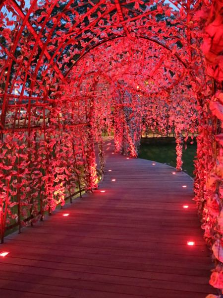 聚竹蚵地景藝術:【高雄旅遊】讓愛與祝福