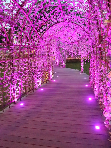 聚竹蚵地景藝術:【高雄旅遊】讓愛與祝福