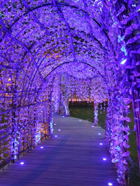 聚竹蚵地景藝術:【高雄旅遊】讓愛與祝福