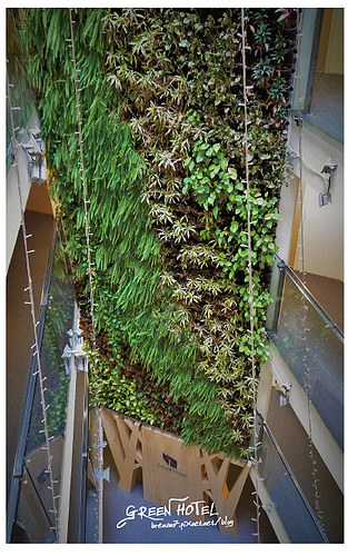 greenhotel-15