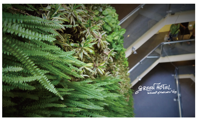 greenhotel-13
