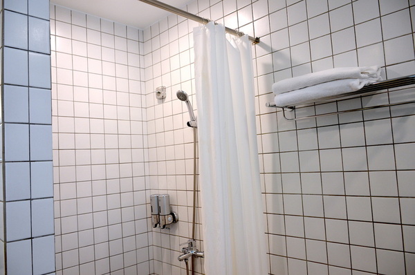 小島公寓：W小姐旅行畫報/  高雄｜住宿 小島公寓/藝廊 設計旅店Ｘ藝廊的相遇 老房子改造 在有溫度的設計中醒來 超美玻璃屋浴室