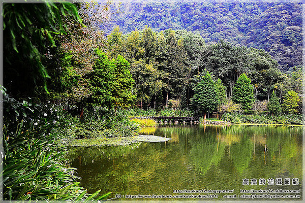 車埕木業館:【南投】水里鄉。車埕木業展示館 & 貯木池與天車