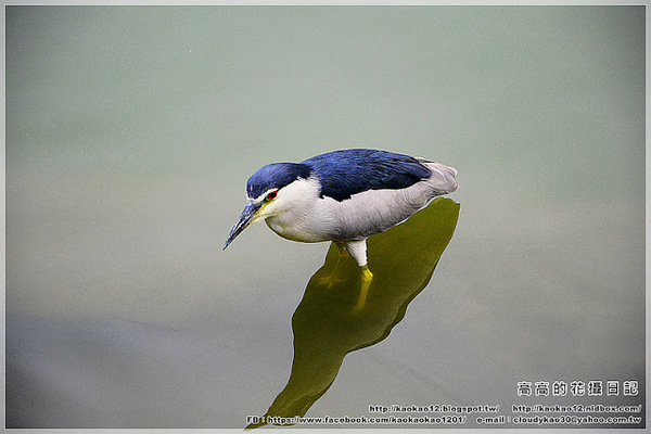 車埕木業館:【南投】水里鄉。車埕木業展示館 & 貯木池與天車