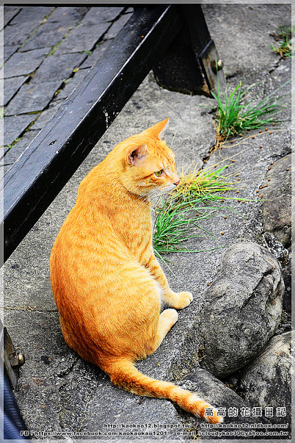 車埕木業館:【南投】水里鄉。車埕木業展示館 & 貯木池與天車