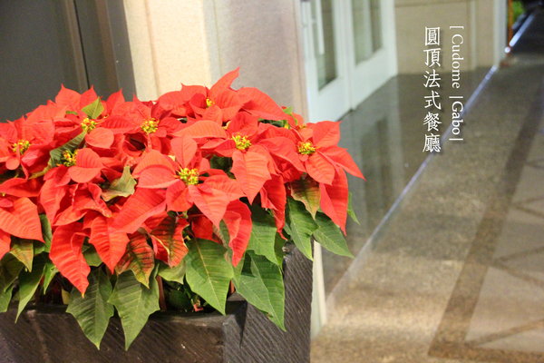 Cudome Restaurant 圓頂餐廳：【高雄||鼓山】Cudome Restaurant 圓頂餐廳──精緻＆極致美味法式料理！給重要的人一個難忘的回憶！