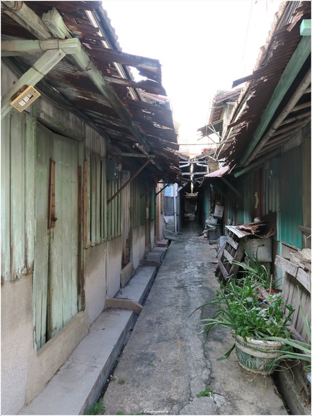 信義街：[2015台南漫步行]信義街~老街文藝新風味の咕咾石街