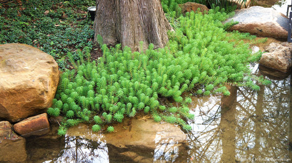 与玥樓頂級粵菜餐廳：【台中南屯】与玥樓頂級粵菜餐廳  OpenRice新店快閃祕密客   高貴不貴餐廳