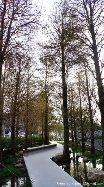 与玥樓頂級粵菜餐廳：【台中南屯】与玥樓頂級粵菜餐廳  OpenRice新店快閃祕密客   高貴不貴餐廳