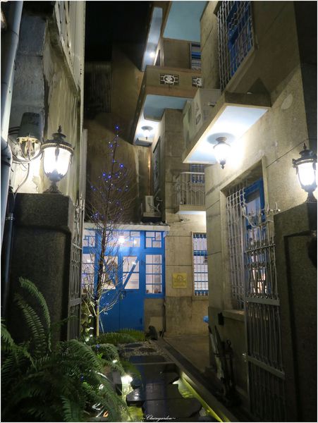 赤崁璽樓:台南 赤崁璽樓 (原 襌&食時尚異國蔬食料理餐廳)~老房子裡的環保餐館