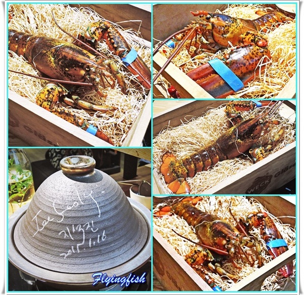 愛新覺羅 原味‧鮮採嚴煮： ✜ 新鮮食材直送胃袋,妙趣橫生享食趣! -「愛新覺羅 原味‧鮮採嚴煮」↖(^ω^)↗