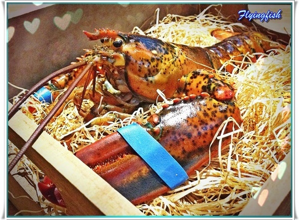 愛新覺羅 原味‧鮮採嚴煮： ✜ 新鮮食材直送胃袋,妙趣橫生享食趣! -「愛新覺羅 原味‧鮮採嚴煮」↖(^ω^)↗