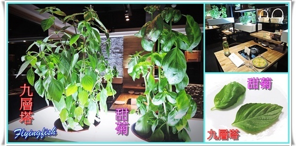 愛新覺羅 原味‧鮮採嚴煮： ✜ 新鮮食材直送胃袋,妙趣橫生享食趣! -「愛新覺羅 原味‧鮮採嚴煮」↖(^ω^)↗