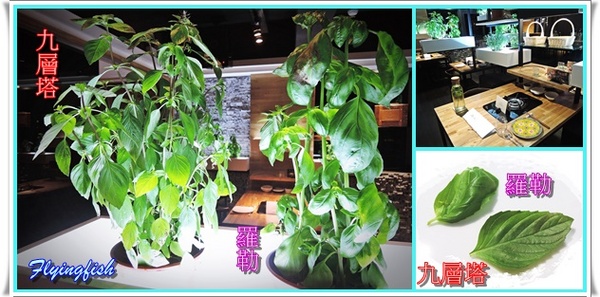 愛新覺羅 原味‧鮮採嚴煮： ✜ 新鮮食材直送胃袋,妙趣橫生享食趣! -「愛新覺羅 原味‧鮮採嚴煮」↖(^ω^)↗