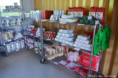 1104 2-綠光農園13