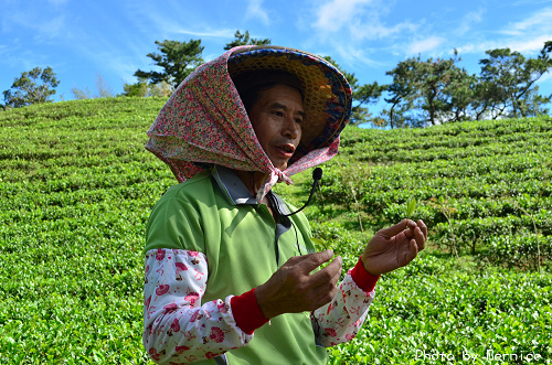 1104 2-綠光農園03