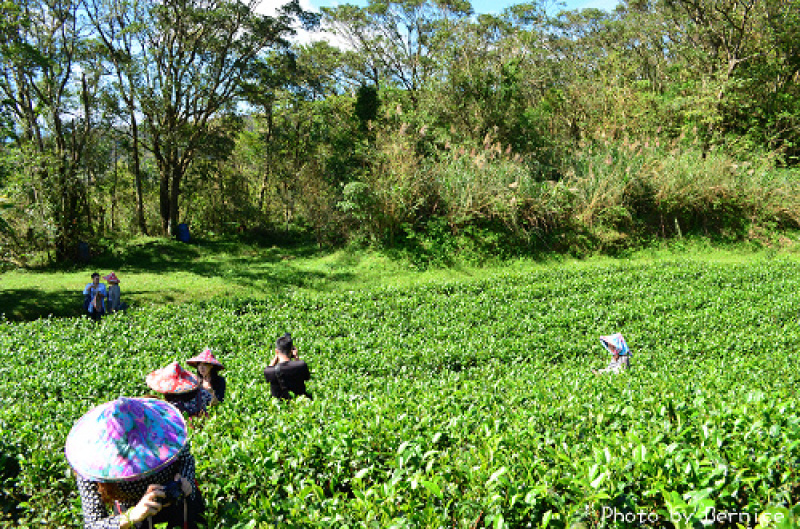 1104 2-綠光農園04