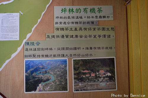 1104 2-綠光農園12