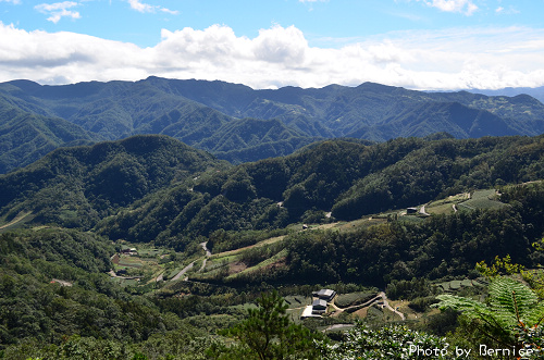 1104 2-綠光農園14