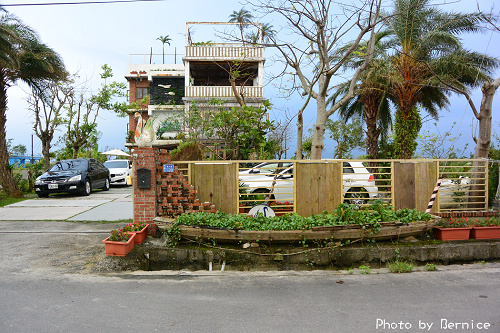 1114 1-真水蘭陽白鷺鷥01