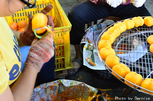 1017 6-柿代相傳04