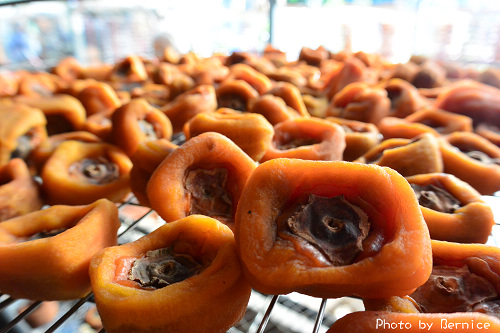 1017 6-柿代相傳12