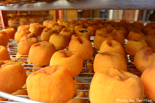 1017 6-柿代相傳07