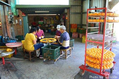 1017 6-柿代相傳03