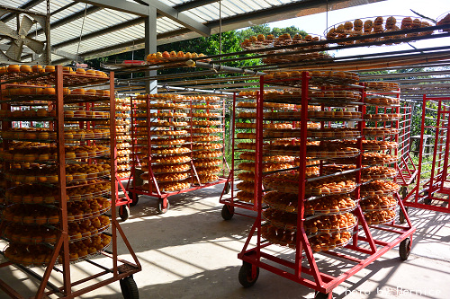 1017 6-柿代相傳06