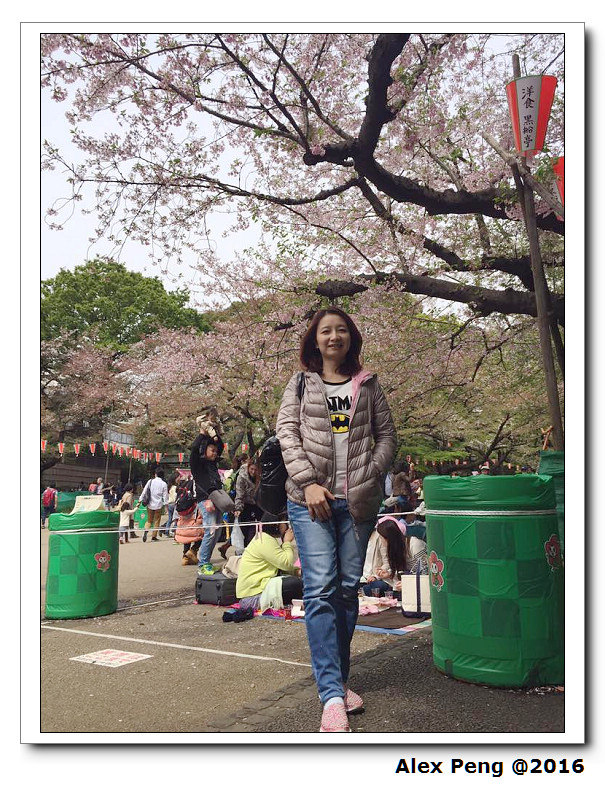 12991055_10153631141751795_7781416930341692040_n