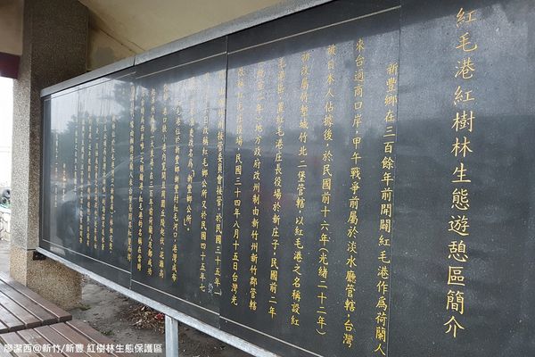 【新竹/新豐】紅毛港生態休憩區