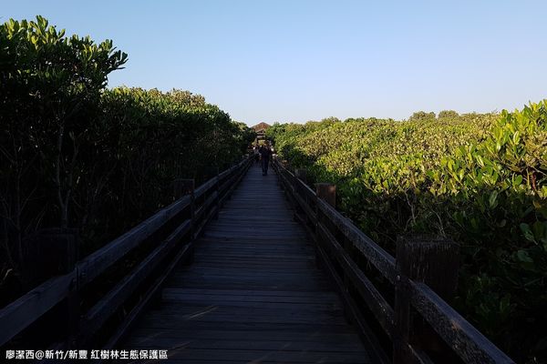【新竹/新豐】紅毛港生態休憩區