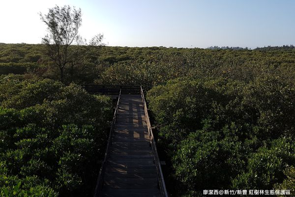 【新竹/新豐】紅毛港生態休憩區