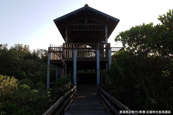 【新竹/新豐】紅毛港生態休憩區