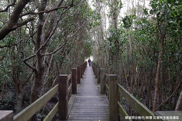 【新竹/新豐】紅毛港生態休憩區