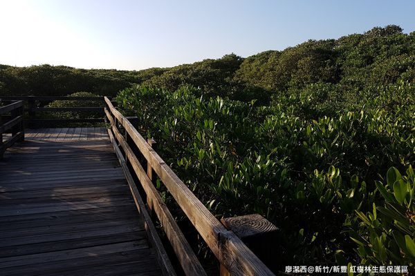 【新竹/新豐】紅毛港生態休憩區