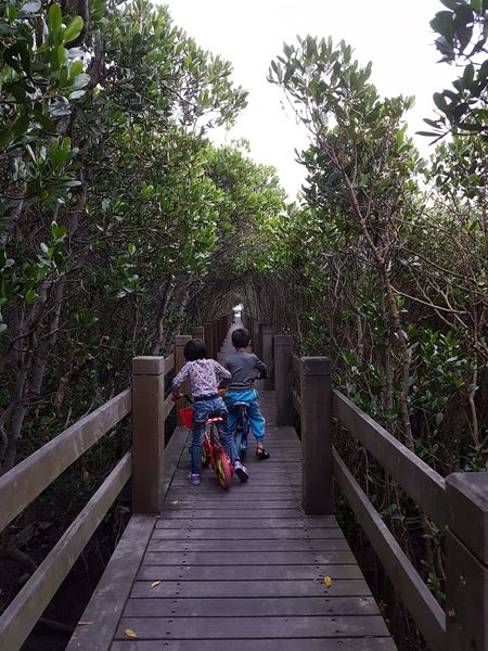 【新竹/新豐】紅毛港生態休憩區