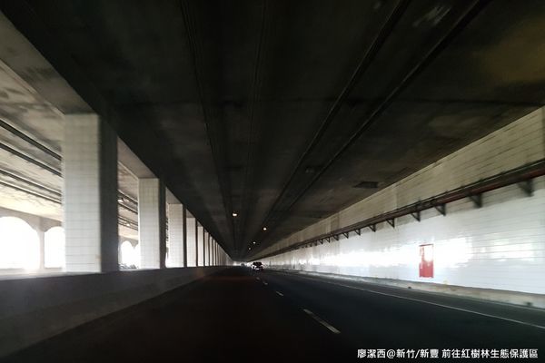 【新竹/新豐】紅毛港生態休憩區