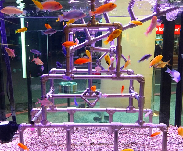 TIGER PASTA-太革義廚:TIGER PASTA 太革義廚