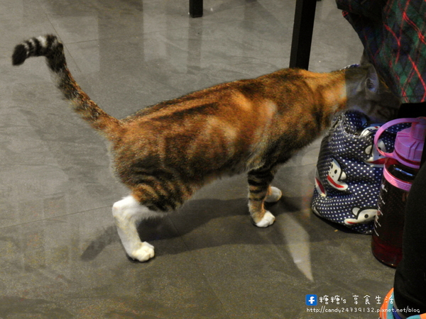 求求辣年糕:〖台中│美食〗求求辣年糕 ❤ 一中商圈超夯韓國料理,每天人潮都大爆滿!!現在都是現場排隊候位沒有電話預約囉~想吃要趁早!!