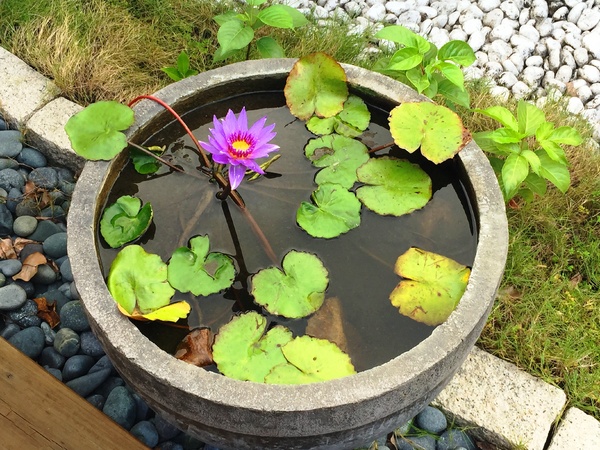 薩米亞克民宿:薩米亞克民宿