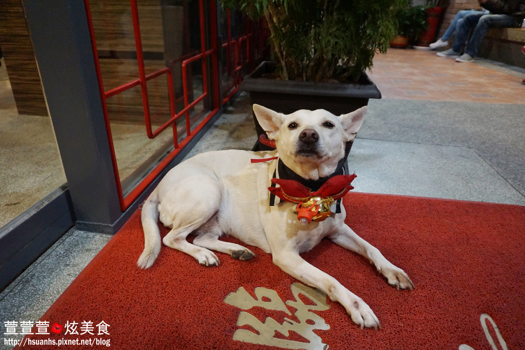 西市 汕頭館 (6).JPG